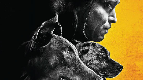Dogman preview